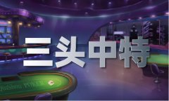 正版材料大全二四六994体验服下载V