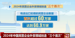 透过数据看2024年平易近营企业外贸成就单